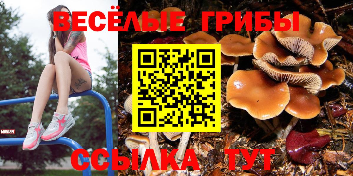 Псилоцибиновые грибы прущие грибы Волгоград